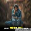 Chahe Mera Dil Jaaye - Single