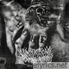 Dark Days - Single