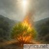 Tongues of Fire - Single