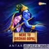 Mere To Girdhar Gopal - Single