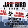 Jailbird Riddim #3 - EP