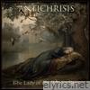 The Lady Of The Rowan Tree - Single