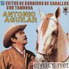 Antonio Aguilar - 15 Corridos de Caballos - Antonio Aguilar