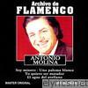 Archivo de Flamenco Vol.12 (Antonio Molina)