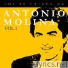 Los 50 Éxitos de Antonio Molina Vol. 1