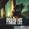 Praise Life, Vol. 7