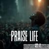 Praise Life, Vol. 3