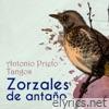 Zorzales de Antaños - Antonio Prieto Tangos