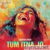 Tum Itna Jo (Cover Version) - Single