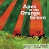 Apes in the Orange Grove