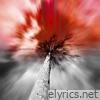 Apoptose lyrics