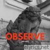 Observe - Single