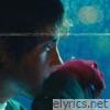 Window Pains - Single