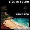 Live in Tulum