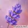 Lavender (OAKUM Remix) - Single