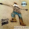 David's Soul