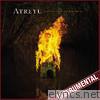 Atreyu - A Death-Grip On Yesterday (Instrumental)