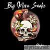 Big Mera Snake - Single