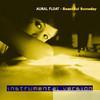 Aural Float - Beautiful Someday (Exclusive iTunes Instrumental Album)