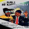 Weh Mali Ni Khulumeli (feat. Maqcwalisela & Rich King) - Single