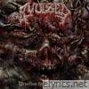 Devotion for Putrefaction - Single