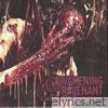 Chambers Filled with Corpses - Single