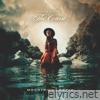 The Course (Moontricks Remix) - Single