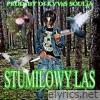 STUMILOWY LAS - Single