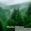 Pluvias Stillness - Single