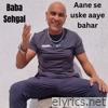 Aane se uske aaye bahar mix - Single
