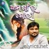 Ama Gaan Ra Gori - Single