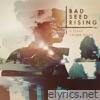 Bad Seed Rising - A Place Called Home - EP