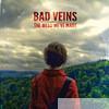 Bad Veins - The Mess We've Made