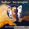 Love is Gonna Come at Last (feat. Rick Springfield) - Single