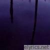 Ambient Selections (Reworked) - Single