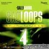 Bally Sagoo Sagloops Ultimate Bhangra & Punjabi Break Beats For Djs, Vol. 4