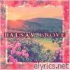 Balsam Grove - Echoes of the Past