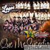 Que Me Sucedio - Single