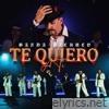 Te Quiero A Ti - Single