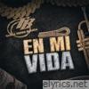 En Mi Vida - Single