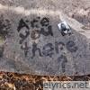 Are You There? - Single