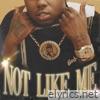 Not Like Me - Single