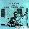 B.b. King - Live in Cook County Jail