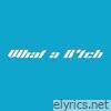 What a B*tch - Single