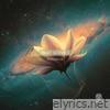 Magnolia - Single