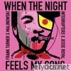 When the Night Feels My Song (Reimagined) - Single