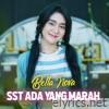 Sst Ada Yang Marah - Single