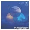 5 Fold - Single