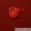 Counting Our Kisses - Single
