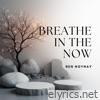 Breathe in the Now - Single